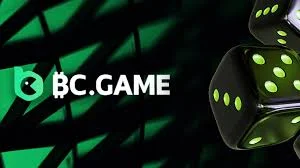 Official BC.Game Mobile App Overview 1769198659 Official BC.Game Mobile App Overview 1769198659